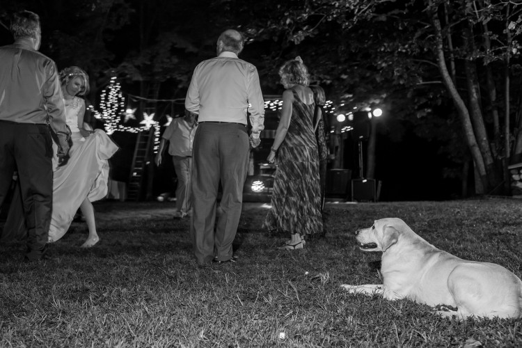 Wedding Photographer Syracuse NY